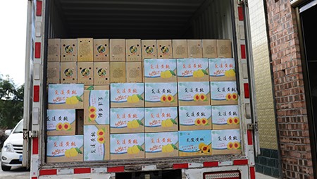 助銷(xiāo)黃桃社會(huì )扶貧，關(guān)愛(ài)員工送高溫福利
